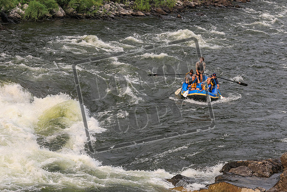20260722-IMG_7731