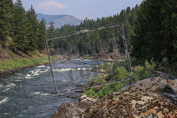 20260722-IMG_6605