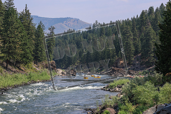 20260722-IMG_5787