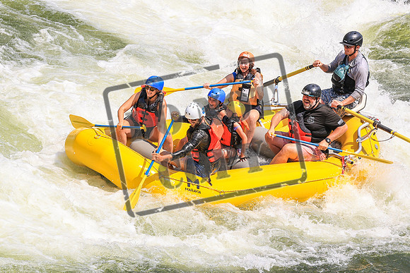 20260722-IMG_5813