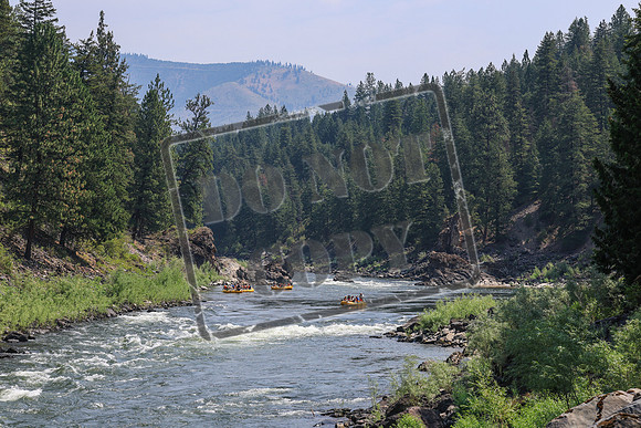 20260722-IMG_5429