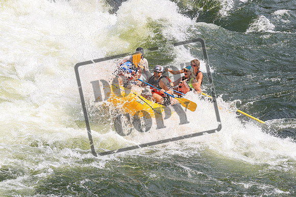 20260722-IMG_5499