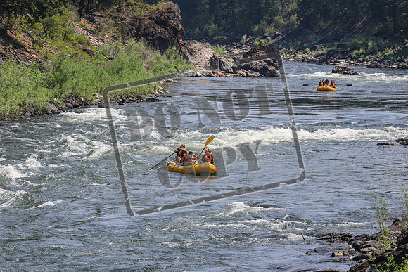 20260722-IMG_5520