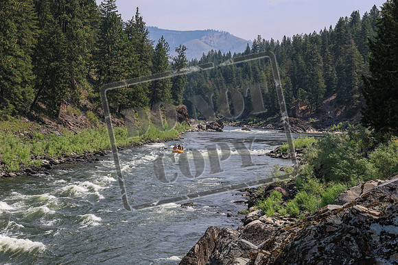 20260722-IMG_5549
