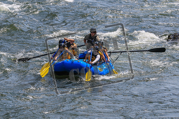 20260722-IMG_5048