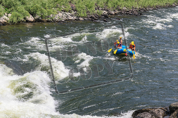 20260722-IMG_6414