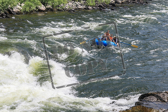 20260722-IMG_5657