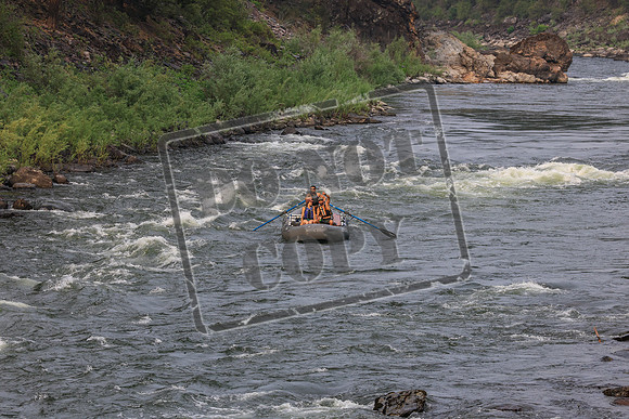 20260722-IMG_7770