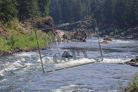 20260723-IMG_8667