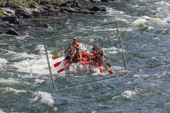 20260723-IMG_8464