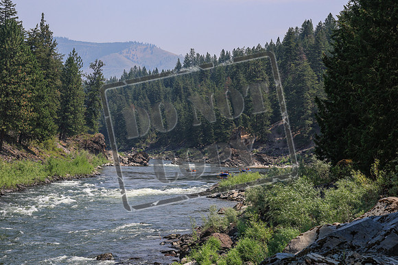 20260723-IMG_8898