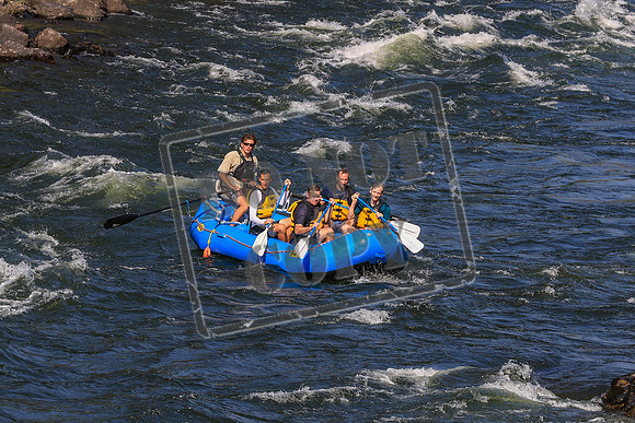 20260724-IMG_2771