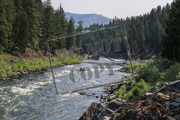 20260724-IMG_0445