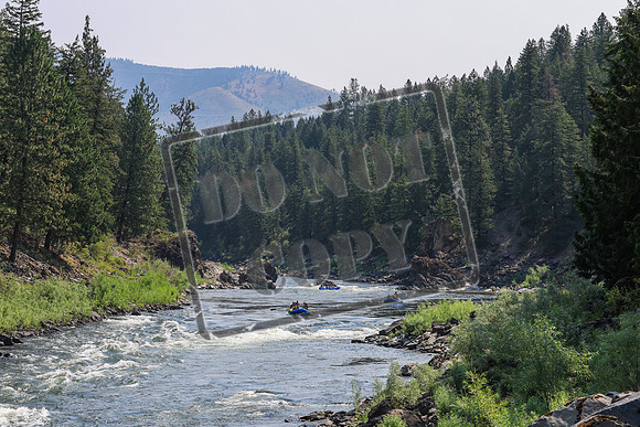 20260724-IMG_0438
