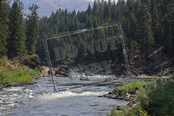 20260724-IMG_0890