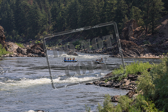 20260724-IMG_0892