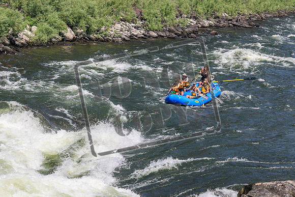 20260724-IMG_2052