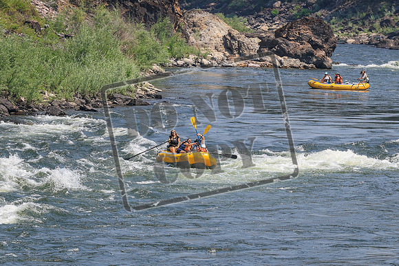 20260724-IMG_1799