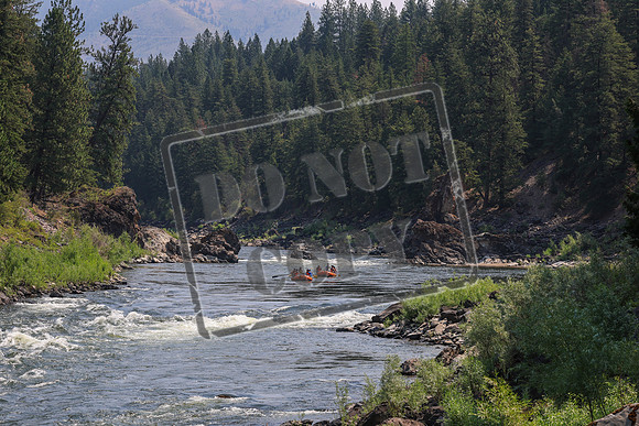 20260724-IMG_0690