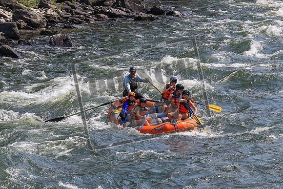 20260724-IMG_0726