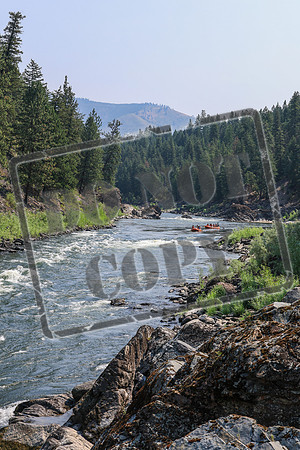 20260724-IMG_0693