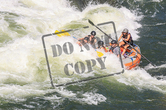 20260724-IMG_2604