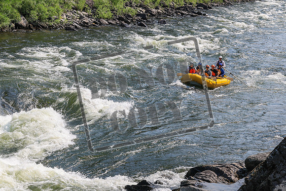 20260724-IMG_0361