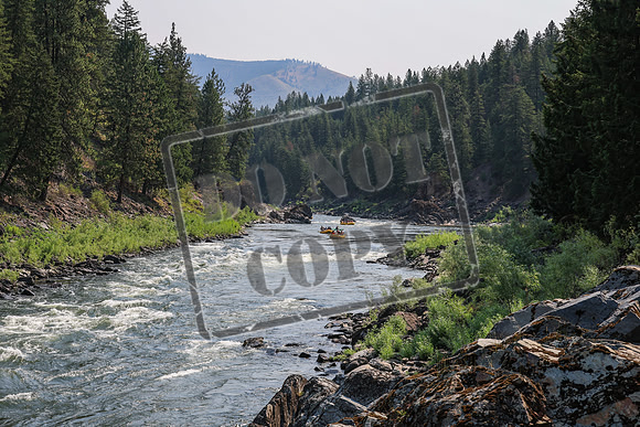20260724-IMG_0203