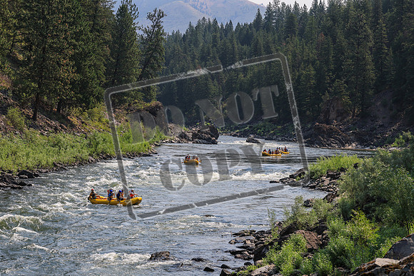 20260724-IMG_0271