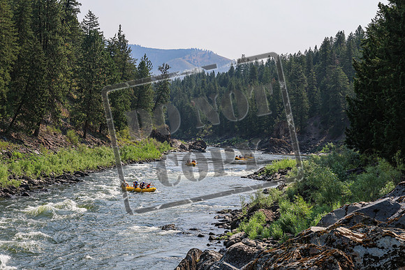 20260724-IMG_0270