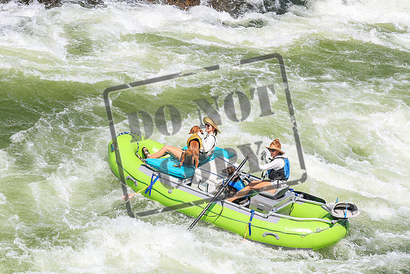 20260725-IMG_6640