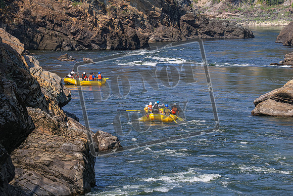 20260725-IMG_3076