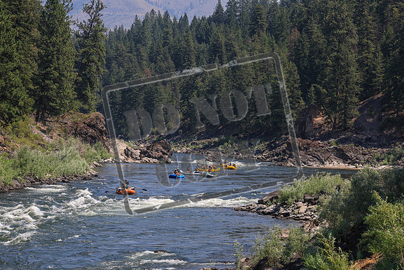 20260725-IMG_5331