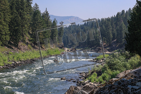20260725-IMG_4459
