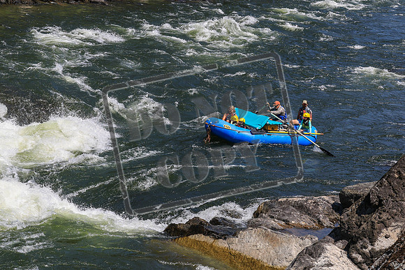 20260725-IMG_6454