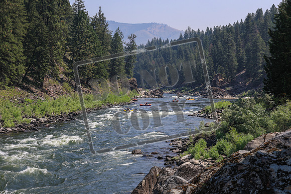 20260725-IMG_4295
