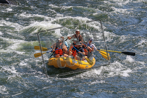 20260725-IMG_3946