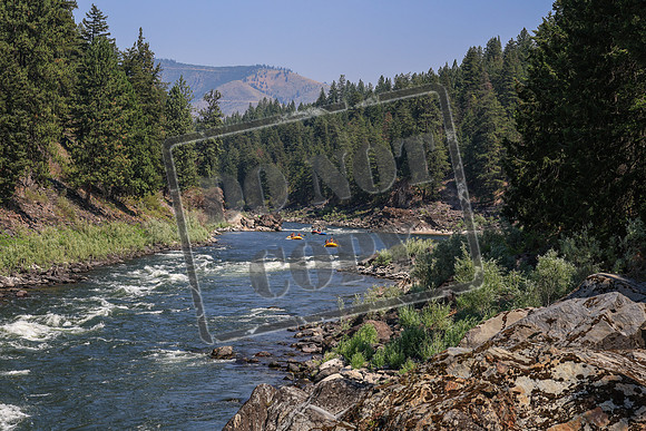20260725-IMG_6673