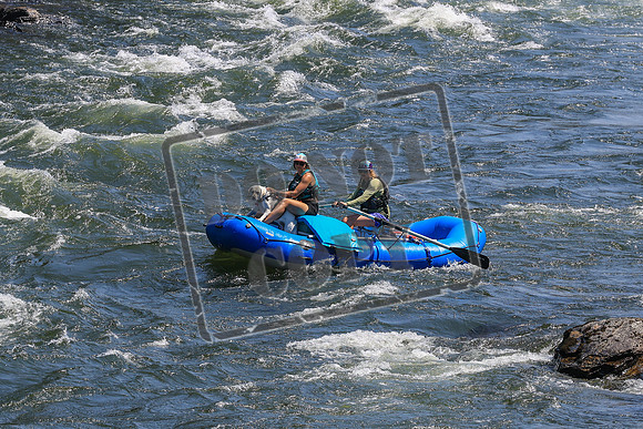 20260725-IMG_4628