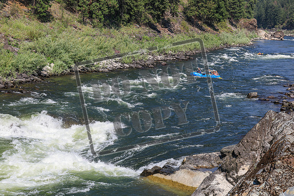 20260725-IMG_7902