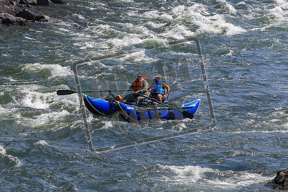 20260725-IMG_4432