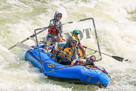20260726-IMG_0192