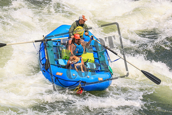 20260726-IMG_1882