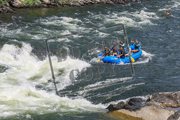 20260726-IMG_2641