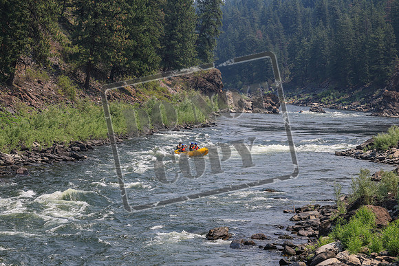 20260726-IMG_1287