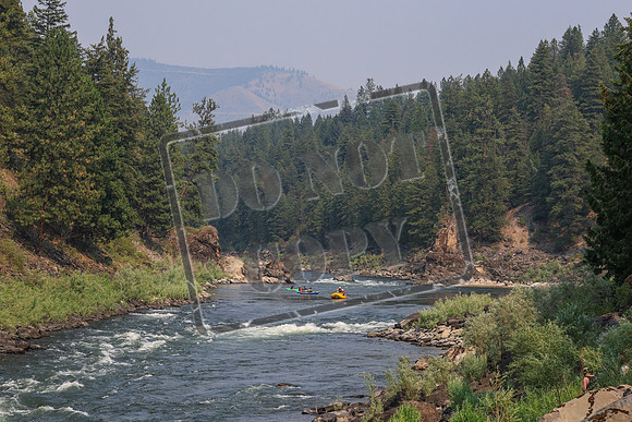 20260726-IMG_3593