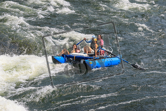 20260726-IMG_1268