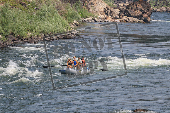 20260726-IMG_2555