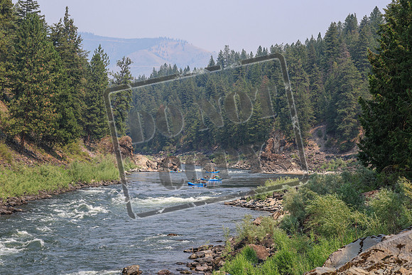 20260726-IMG_2701