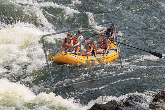 20260726-IMG_0950
